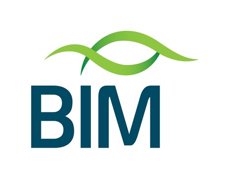 BIM Logo