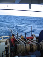 BIM Fisheries