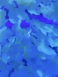 Nematode larvae in fish tissue under UV light