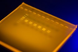 Gel electrophoresis for the detection of amplified DNA